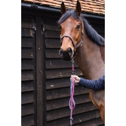 Whinny Plaited Horse Leadrope